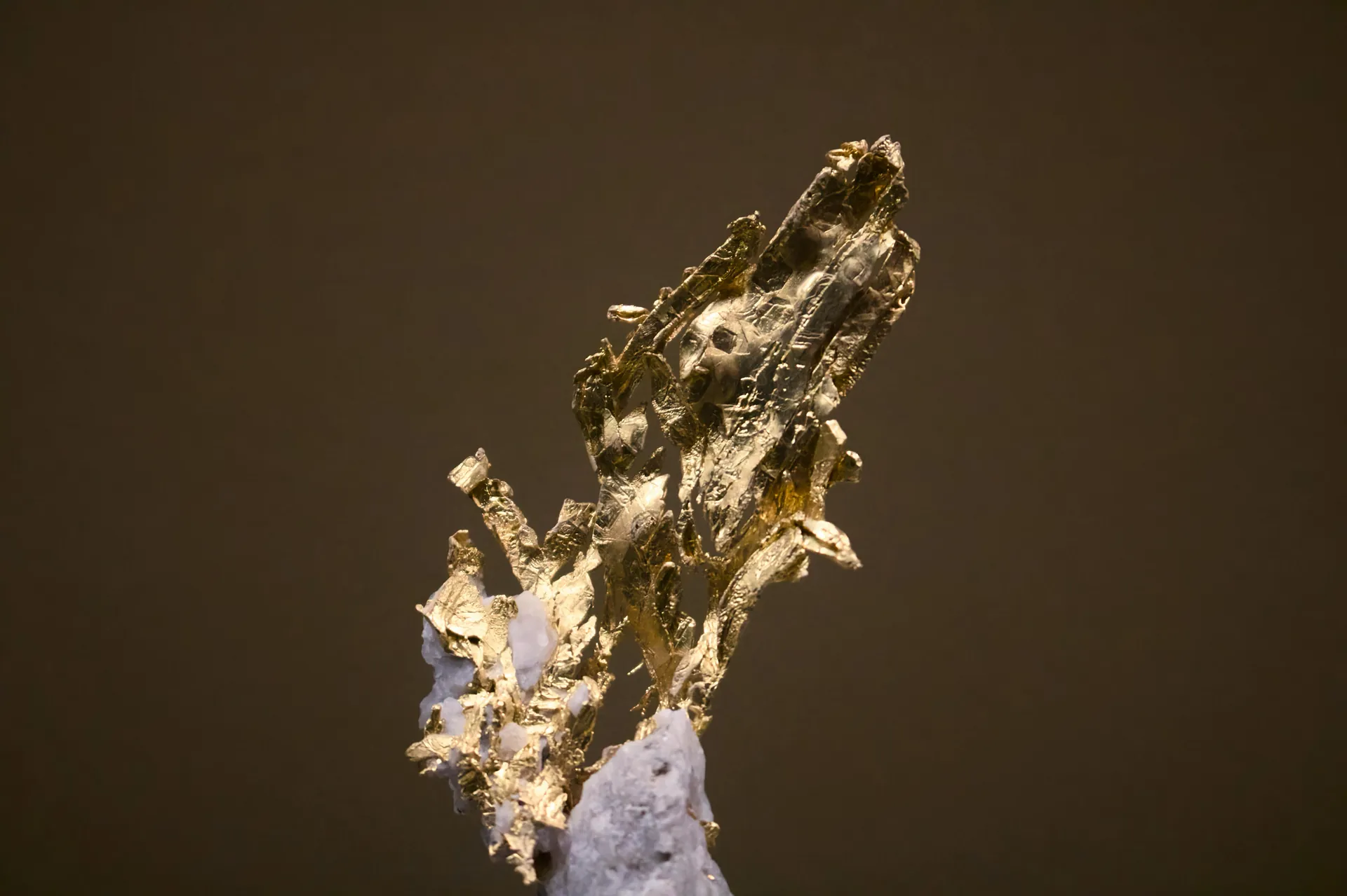 Close-up macro photograph of a striking gold mineral formation on a dark background.